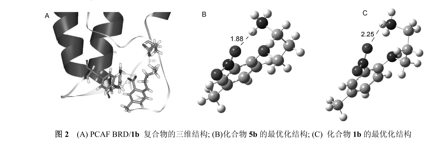 鄰苯二甲酰亞胺